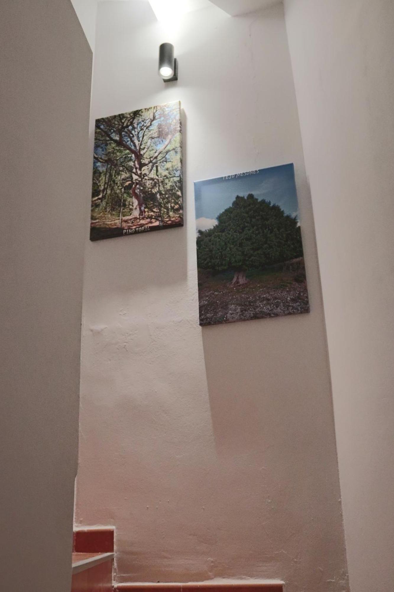 Casa 25 Villa Riopar Bagian luar foto